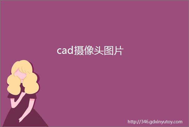 cad摄像头图片