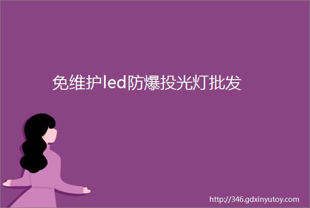 免维护led防爆投光灯批发