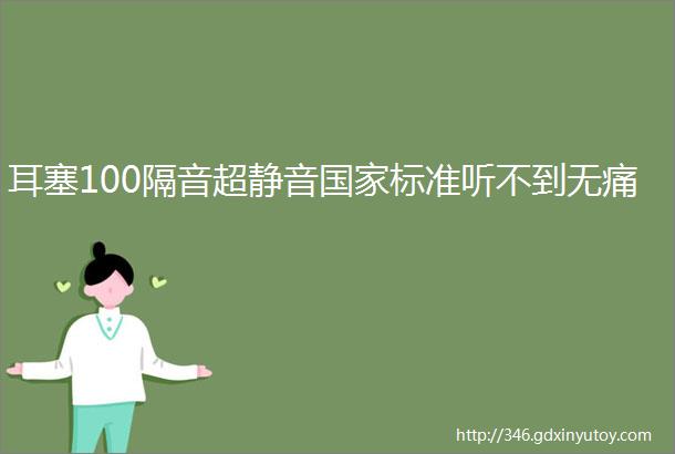 耳塞100隔音超静音国家标准听不到无痛