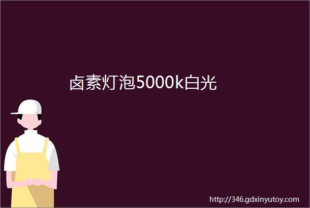 卤素灯泡5000k白光