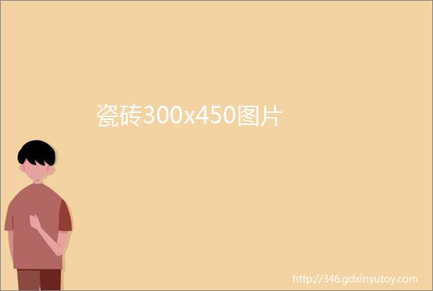 瓷砖300x450图片