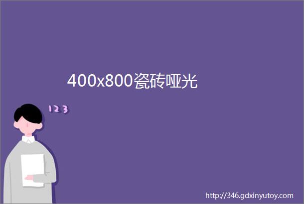 400x800瓷砖哑光